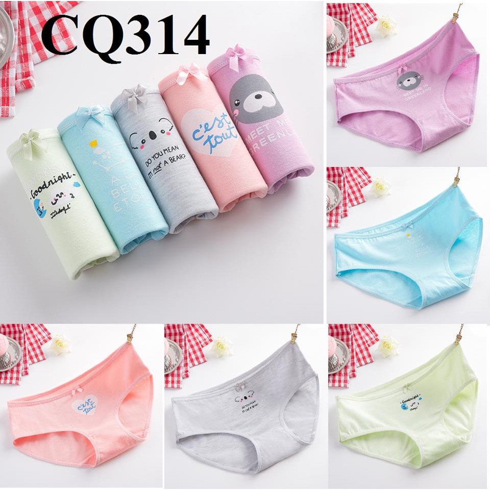 HỘP QUÀ TẶNG _COMBO 5 QUẦN CHIP NỮ 100% COTTON CAO CẤP | BigBuy360 - bigbuy360.vn