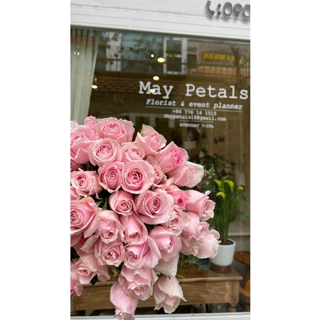 Hoa Tươi Hoa Hồng Ngoại  Ohara hồng, Trắng, Đỏ