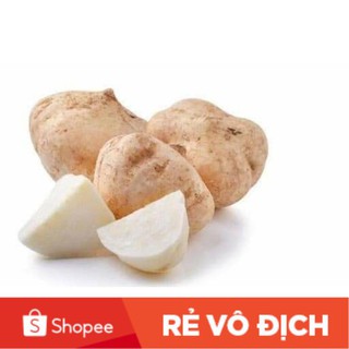 10gr hạt giống củ đậu Thái Lan non ngọt