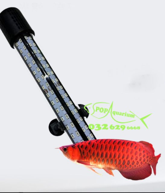 Đèn LED 85% XML 4 HÀNG BÓNG CHO CÁ RỒNG