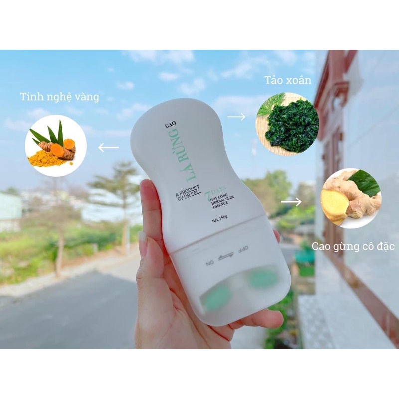 Cao Đốt Mõ Lá Rừng Dr Cell