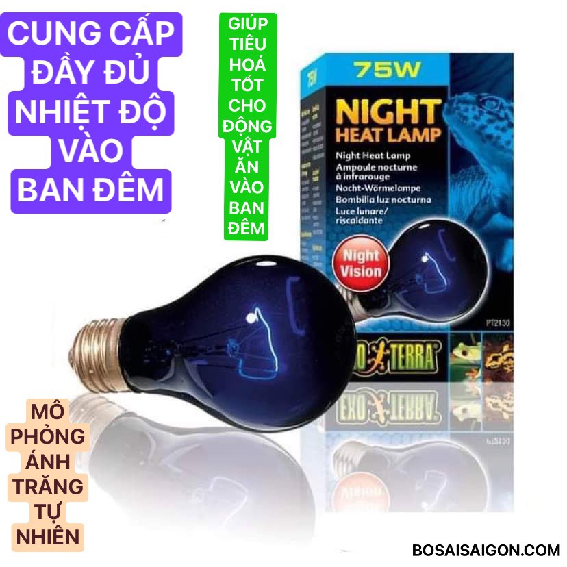 Đèn SƯỞI ẤM ĐÊM 75W giá sỉ, CHO BÒ SÁT, RỒNG NAM MỸ, RÙA NƯỚC, SULCATA, NÚI VÀNG. GIÁ RẼ NHẤT. Chính hãng EXO TERRA.