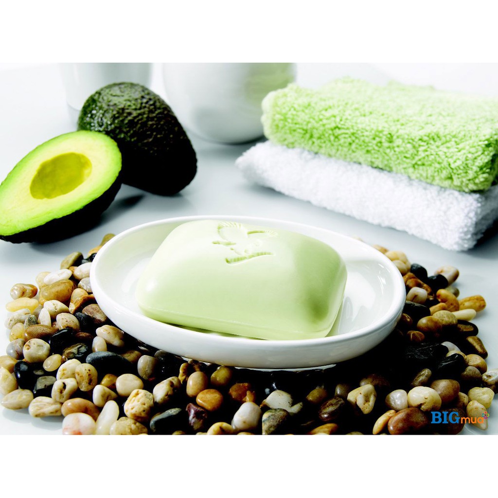 Xà phòng rửa mặt và cơ thể - Avocado Face & Body Soap 284 FLP | BigBuy360 - bigbuy360.vn