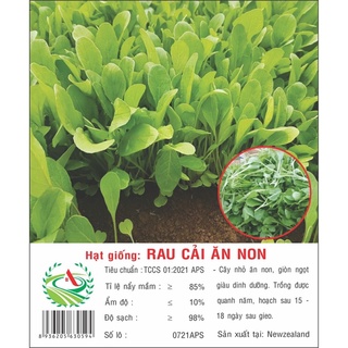 Hạt Giống rau cải ăn non 20g