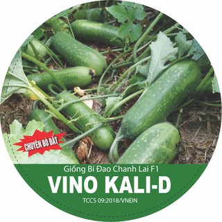 HẠT giống bí đao chanh lai f1 VINO KALI-D, bí đao trái dài ruột xanh