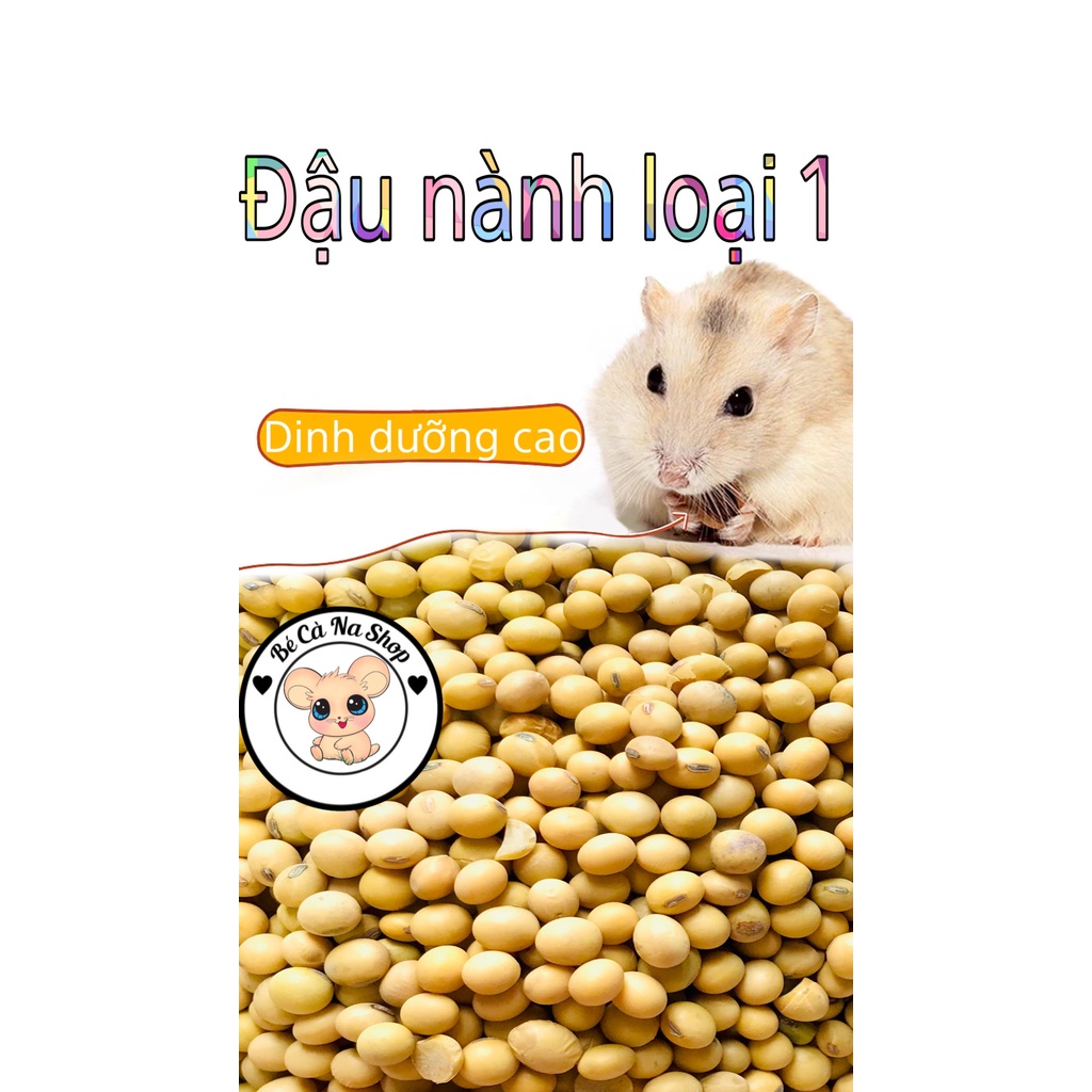 Đậu nành nguyên hạt , thức ăn cho hamster , thỏ bọ sóc. Sạch - Đẹp hamster (bè cà na)