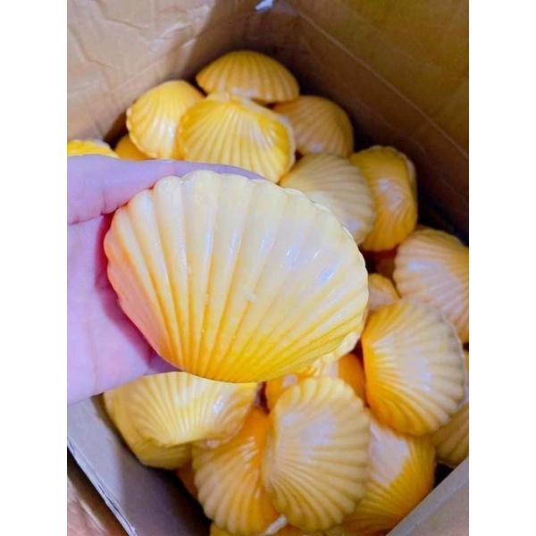 Xà Bông Giúp Hỗ Trợ Tăng Size Vòng 1 Nở Ngực