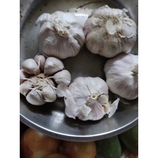Hành tím Lý Sơn/tỏi Bắc Hà Nội