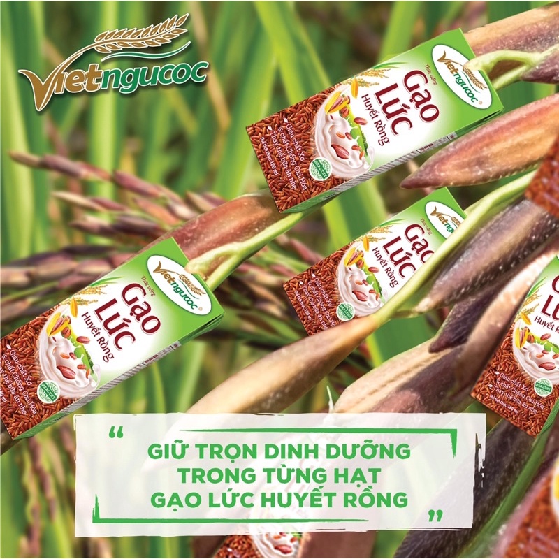 Lốc 4 hộp thức uống Gạo Lứt Huyết Rồng Việt Ngũ Cốc 180ml