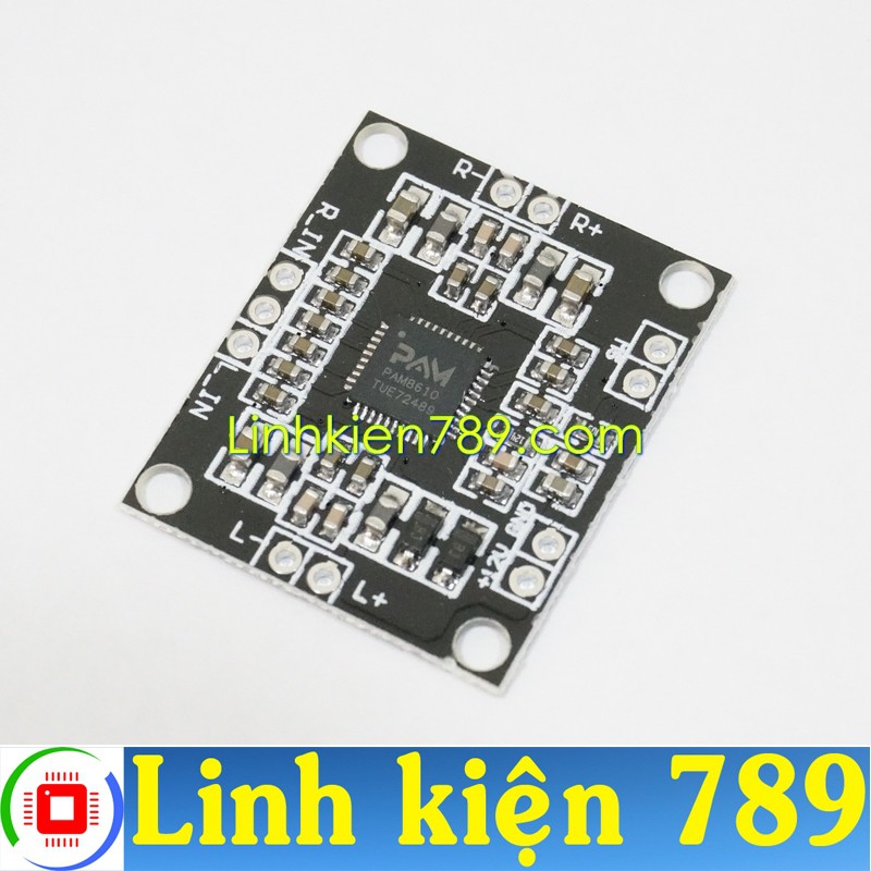 Mạch khuếch đại 12V 2x15W PAM8610