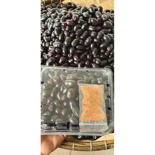 cây Cây Trâm Đen ..8 cây tháng cho trái  - Cây Giống Nhập Khẩu