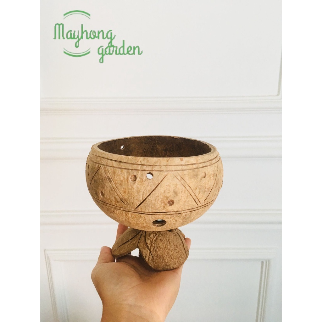 5 chậu gáo dừa miêng trơn, hoa văn có đế