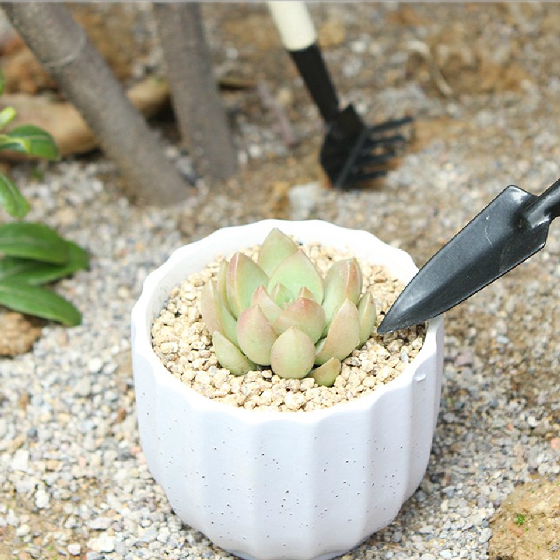 Bộ 3 Dụng Cụ Làm Vườn Mini