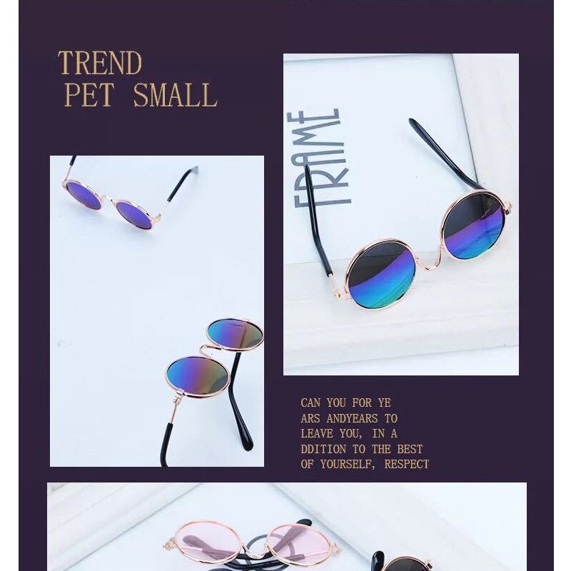 Kính mát chụp ảnh đáng yêu cho thú cưng