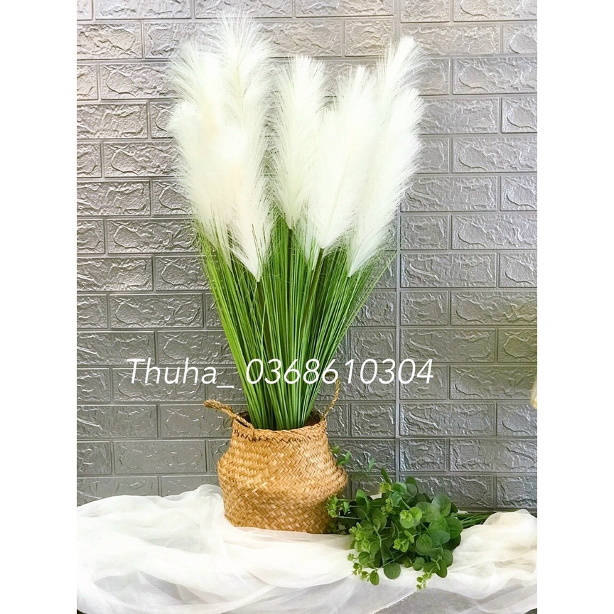 Bông lau ,cỏ lau khô, hoa khô trang trí decor nhà, trang trí shop,spa,trang trí tiệc cưới sự kiện