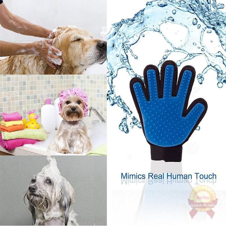 Găng tay 2in1 lấy lông và tắm massage cho thú cưng chải lưng chó mèo