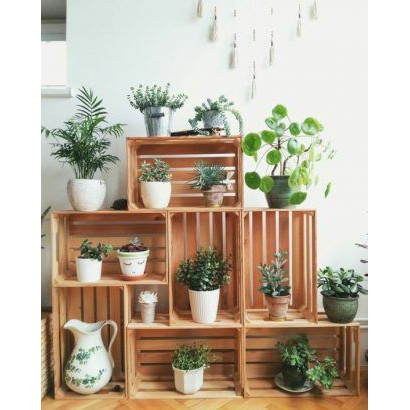 Tổng box gỗ đa năng| Hộp gỗ pallet| Kệ đựng sách làm bằng pallet HPKTT 04 HP Decor