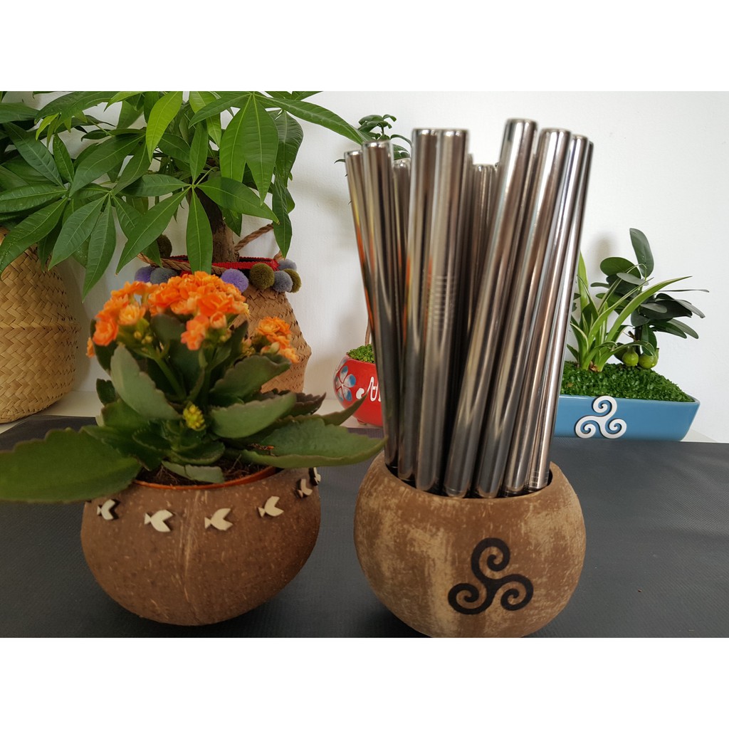 Bộ 5 món:2 Ống hút inox 304 ,1 ống hút trà sữa và 1 cọ rửa nilon và túi canvas | BigBuy360 - bigbuy360.vn