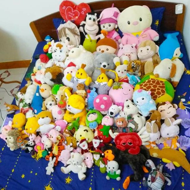 Gấu bông giá rẻ