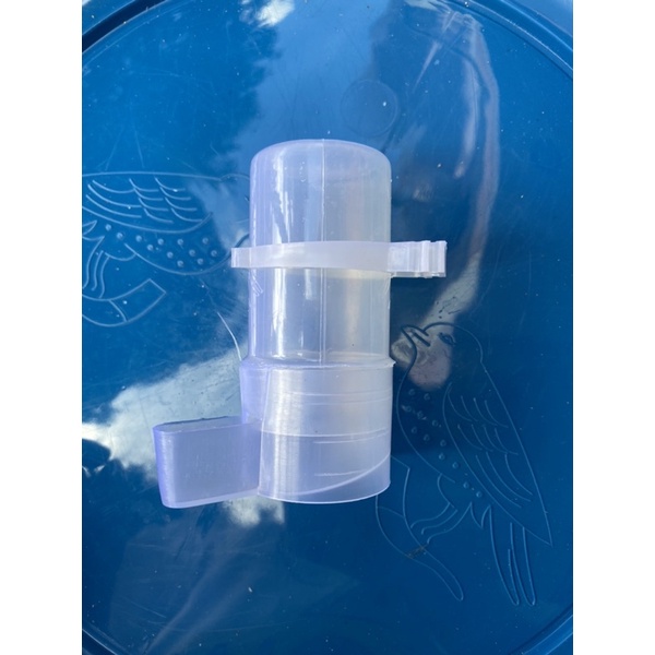 Cóng nước nhưa thường cho chim