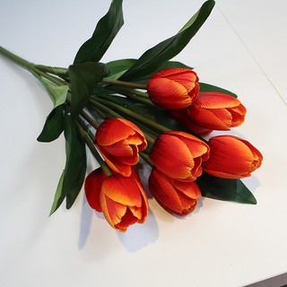 Chùm hoa tulip