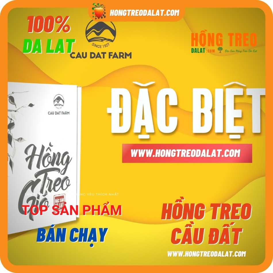 Hồng Treo Gió Cầu Đất Loại 500Gram tại Cầu Đất Farm