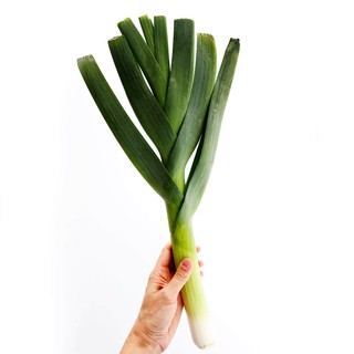 1gr - HẠT GIỐNG TỎI TÂY ( HÀNH BOA RÔ)