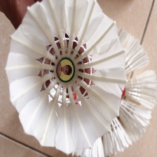 Cầu Lông Hoàng Đế Vàng 10 quả