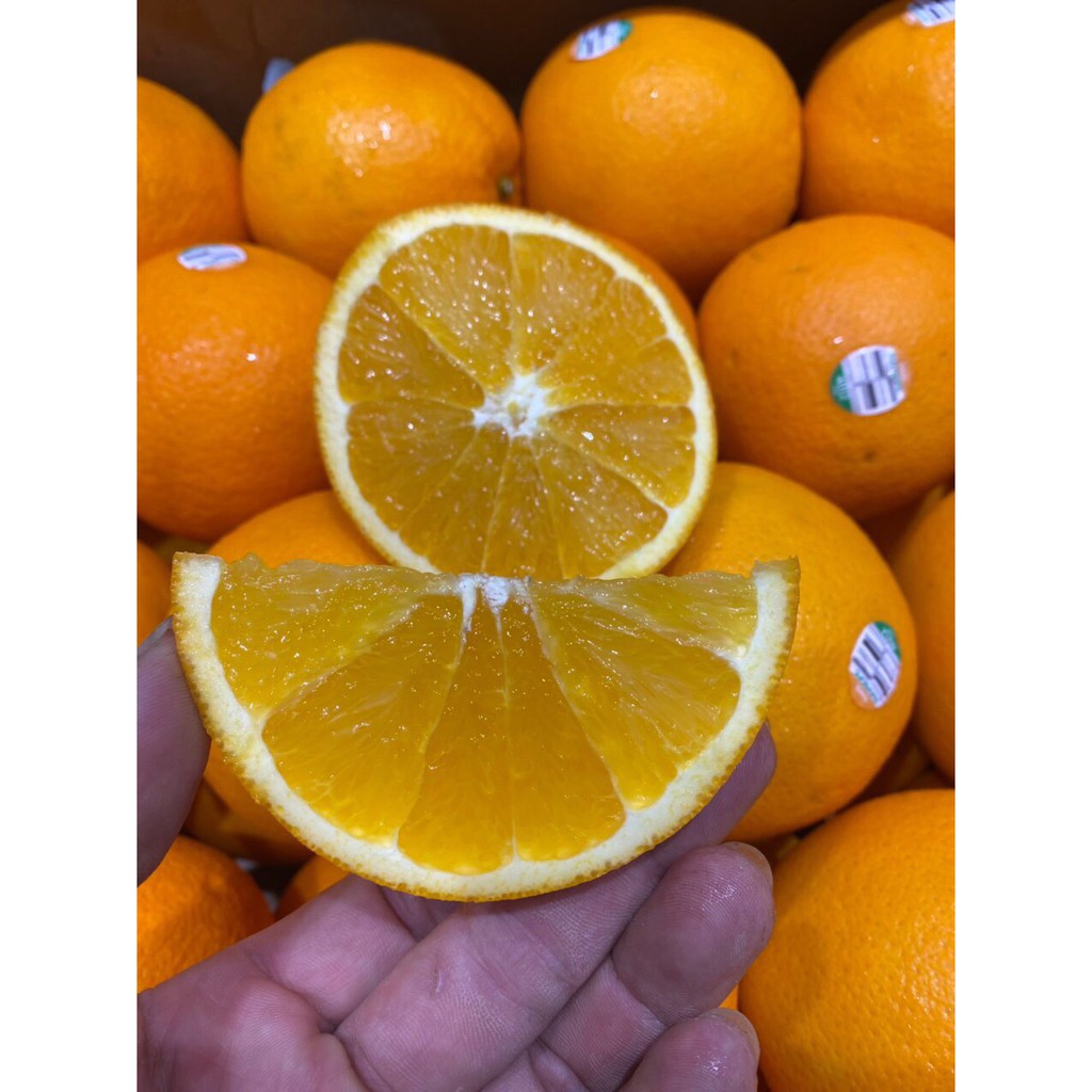 Set 3 trái cam hơn 1 kg