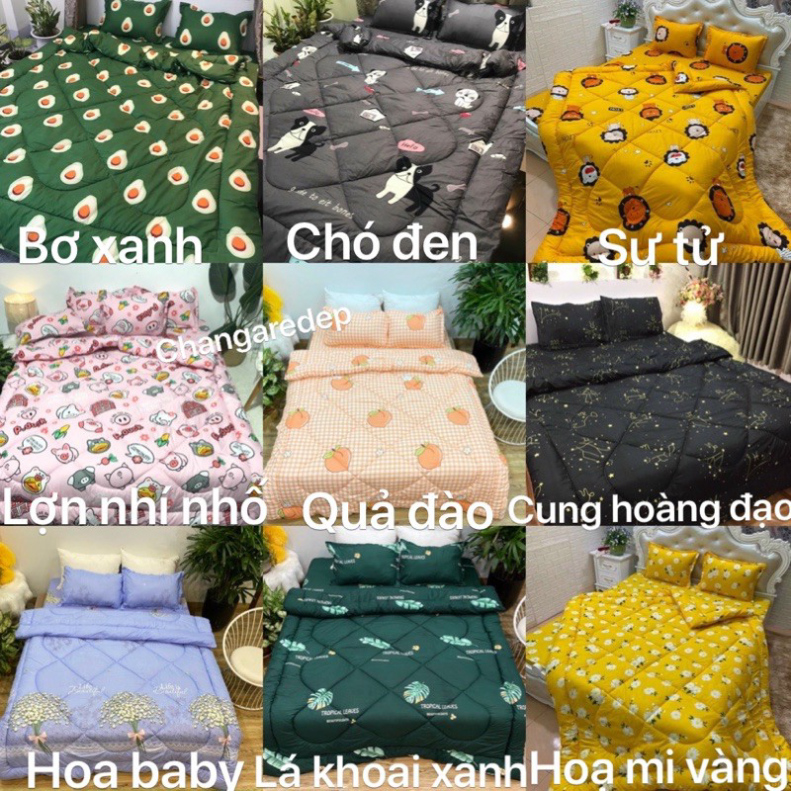 Bộ 1 Ga chun và 2 vỏ gối Cotton poly, chat chọn mẫu. | BigBuy360 - bigbuy360.vn