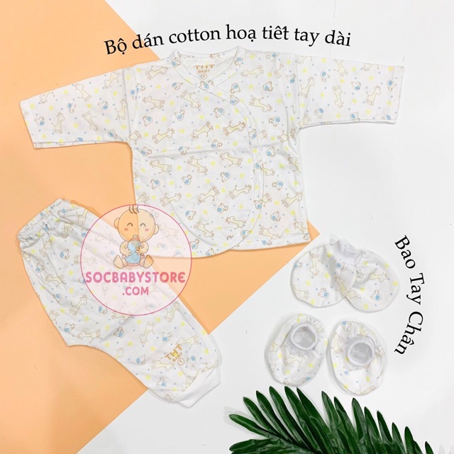 Bộ dán dài cotton cao cấp