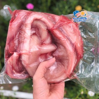 Giá Sỉ 1Kg Cá Ninja - Q12