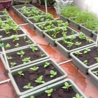 20L ĐẤT HỮU CƠ TRỒNG RAU. HOA KIỂNG