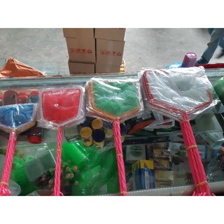 Vợt vớt cá