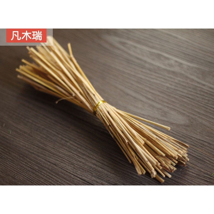 Set 10 sản phẩm décor chụp ảnh vintage retro