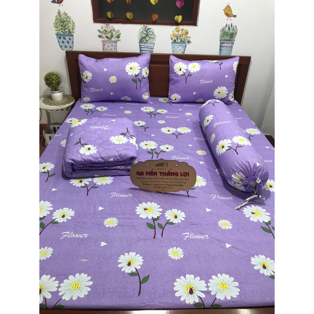 Drap  gối 2m -2m nệm vuông 100% coton thắng lợi