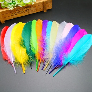 Lông vũ làm dreamcatcher 15-20cm 30 màu sắc độc lạ