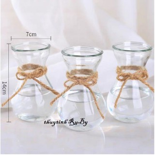 Bình cắm hoa, trồng cây, trang trí