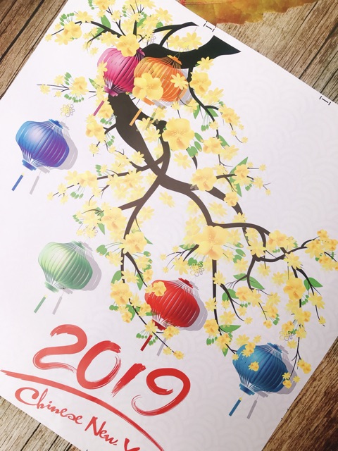 Decal Trang Trí Tết - Cành Mai Vàng Lồng Đèn Sắc Màu 2019 ( ẢNH + VIDEO THẬT )