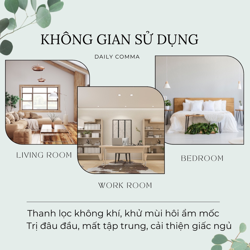 Tinh dầu thơm khuếch tán que mây DAILYCOMMA - BST Mini diffuser 100ml giúp thơm phòng, khử mùi