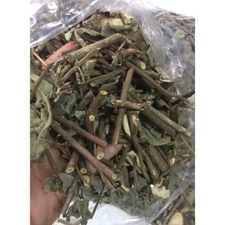 CÂY AN XOA RỪNG BÌNH PHƯỚC - 1KG