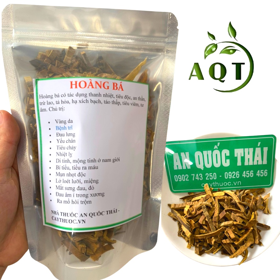 Hoàng Bá Khô, Xịn 500g (Vàng, Đẹp), Hoàng Bá Thượng Hạng, Hàng Chuẩn Loại 1