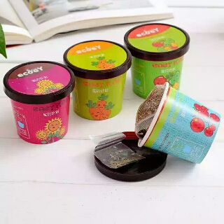 Set trồng cây DIY