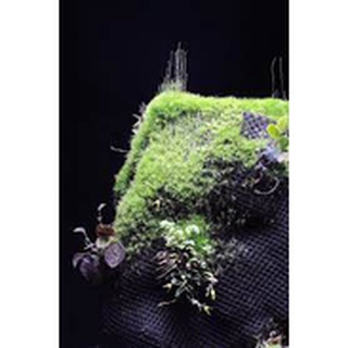 Vải giữ ẩm cho bán cạn, terrarium.