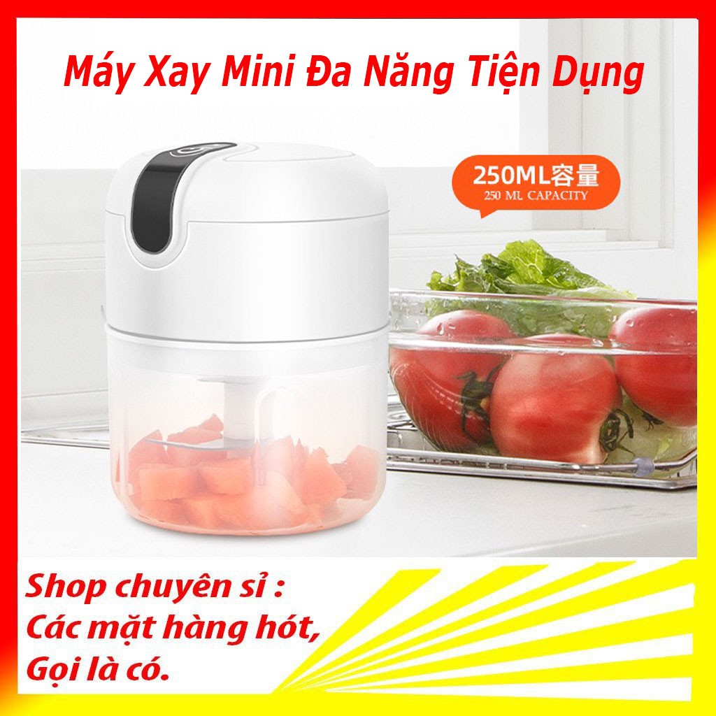 Máy Xay Tỏi Ớt Cầm Tay Mini Sạc Điện 250ml Tiện Lợi