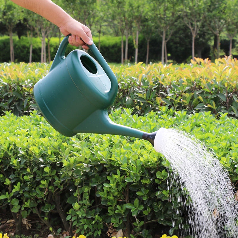 bình tưới cây công suất lớn bằng nhựa dày, bình tưới cây, bình tưới cây gia đình, bình tưới cây làm vườn, vòi hoa sen nh
