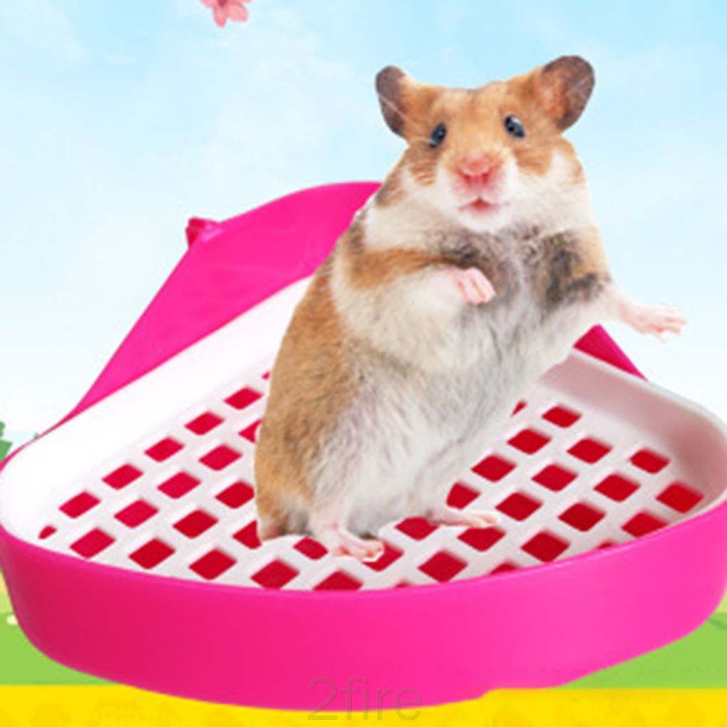 Khay Nhựa Đi Vệ Sinh Tiện Lợi Cho Chuột Hamster