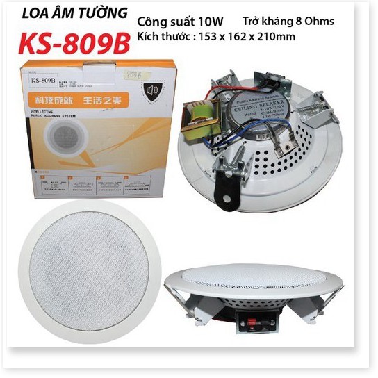 Loa âm trần CEILING-MOUNTED SPEAKER KS-809B