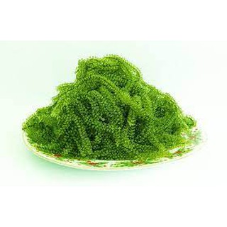 Rong nho tách nước Namiso