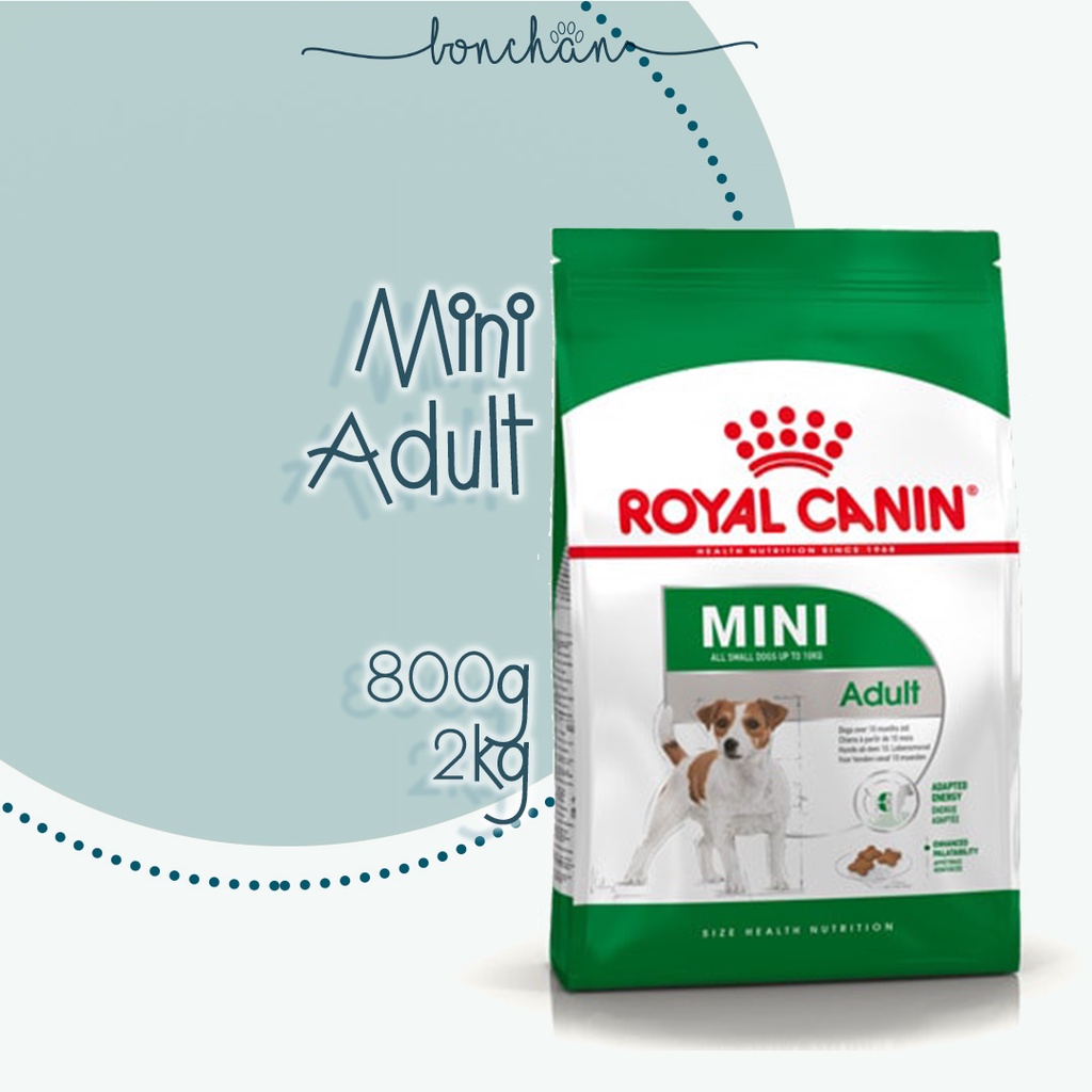 Hạt Royal Canin Mini Adult dành cho giống chó nhỏ trưởng thành túi 800g-2kg